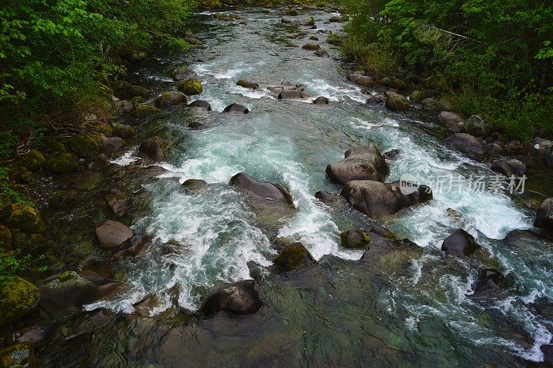 威拉米特河河流岩石