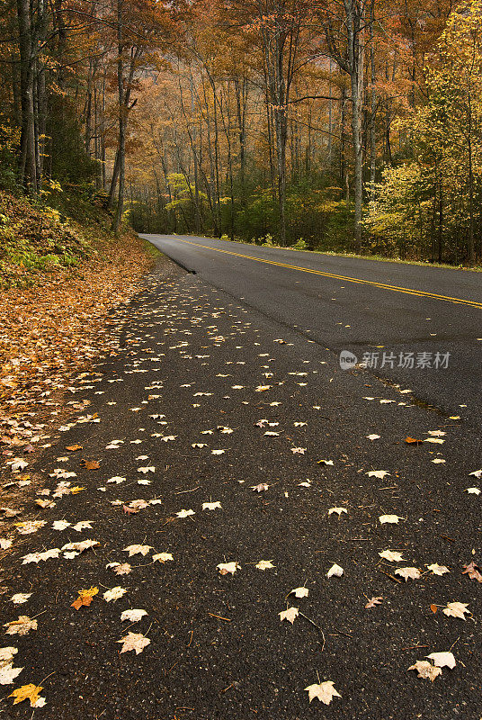 雨山路