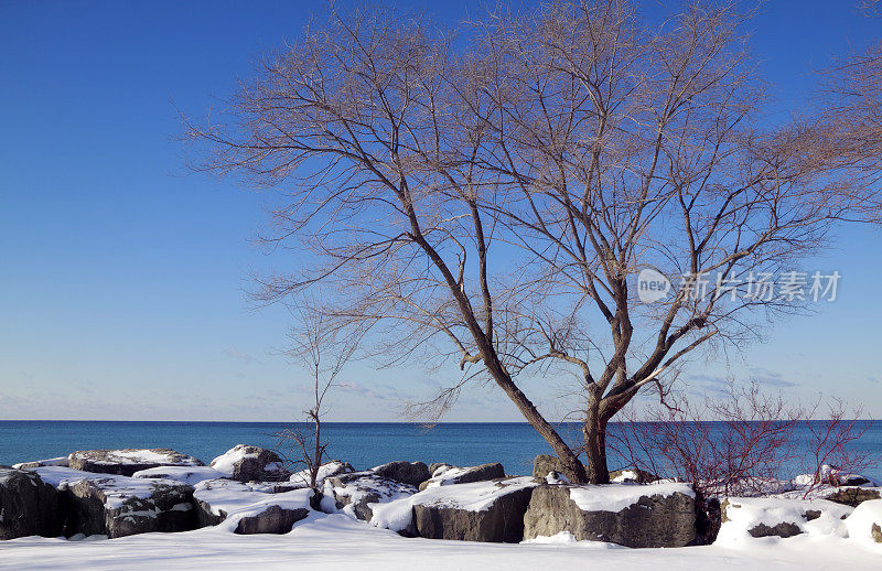 阳光明媚的冬日海滨景色