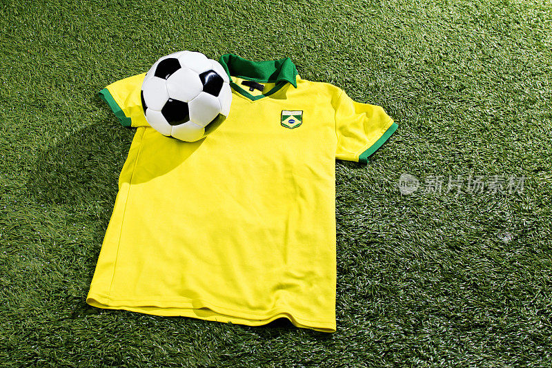 2014年巴西世界杯的概念