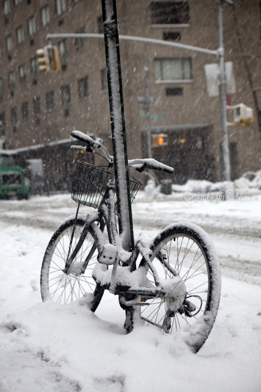 雪的自行车