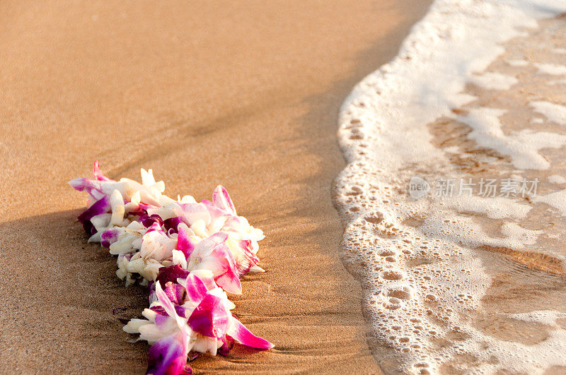 坐在沙滩上的夏威夷花环