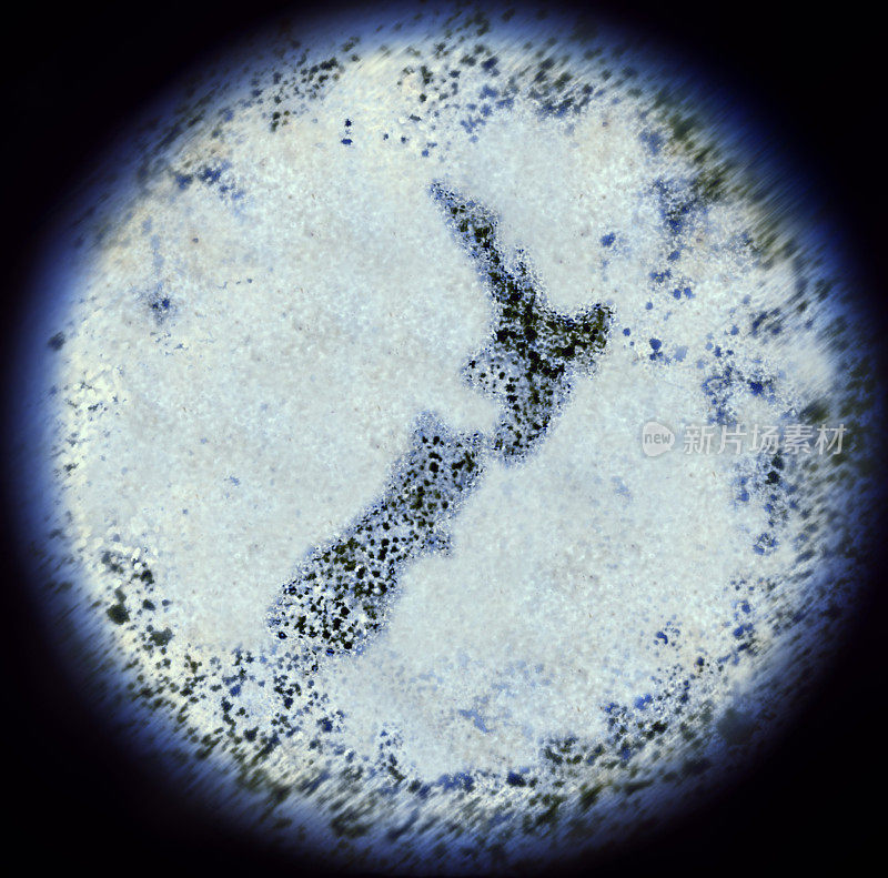 通过显微镜观察新西兰形状的细菌。(系列)