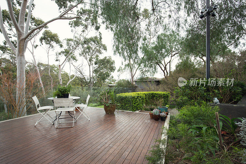 甲板露台在澳大利亚本土景观和桉树