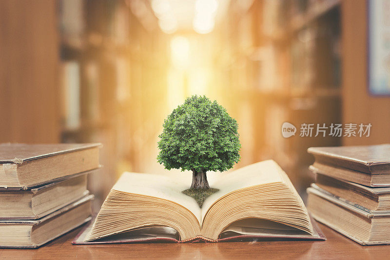 树在图书馆的书
