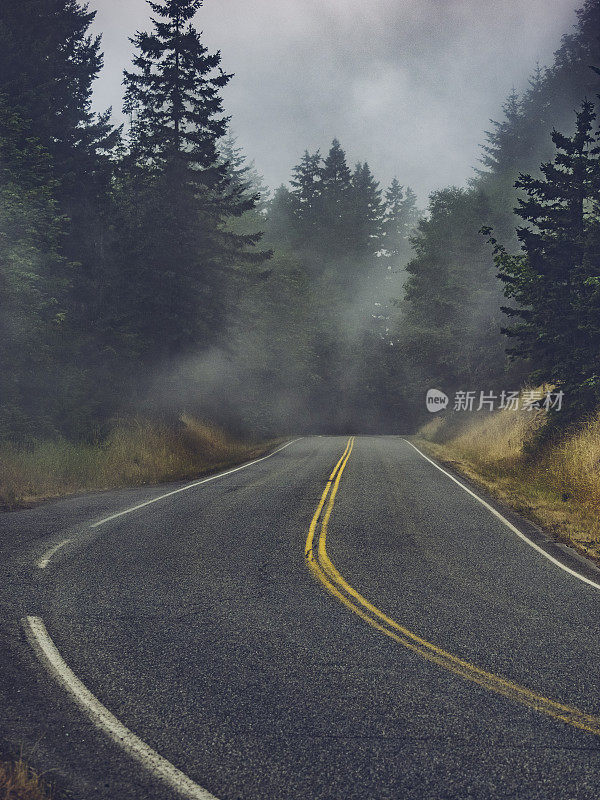 蜿蜒的公路在迷雾中穿过华盛顿州的霍雨林