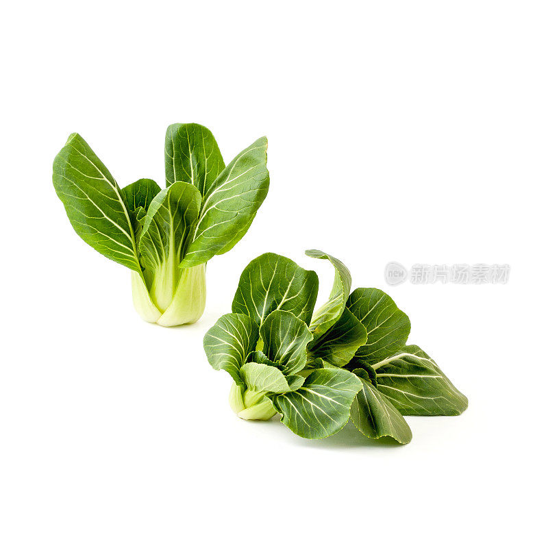 两束新鲜的绿色沙拉白菜(中国卷心菜)在一个干净的白色背景。孤立。