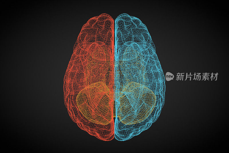 大脑，人工智能概念