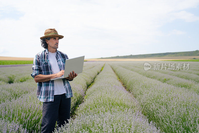 农夫在薰衣草种植园里检查新收获的照片。农业职业。保加利亚的薰衣草花田。