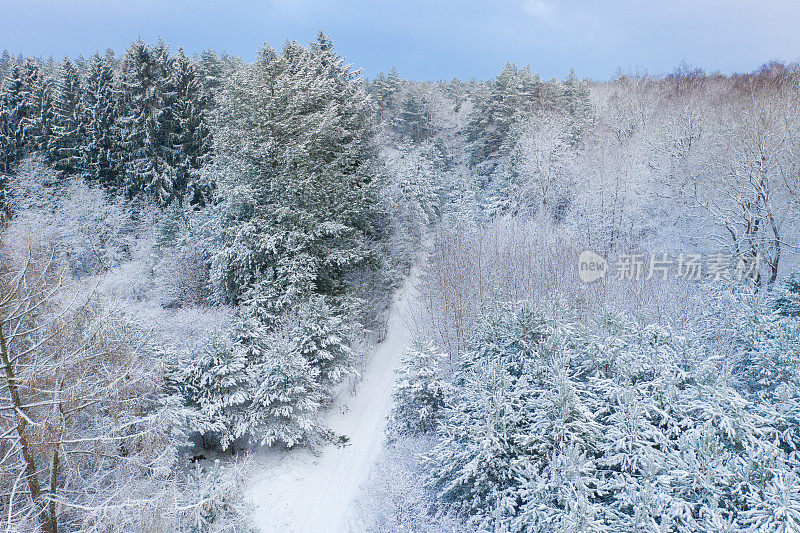 鸟瞰图的混合森林覆盖着雪。