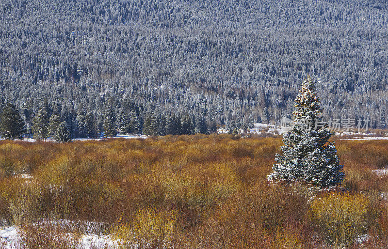美国科罗拉多州埃斯特斯公园外的落基山国家公园美丽的冬季景色