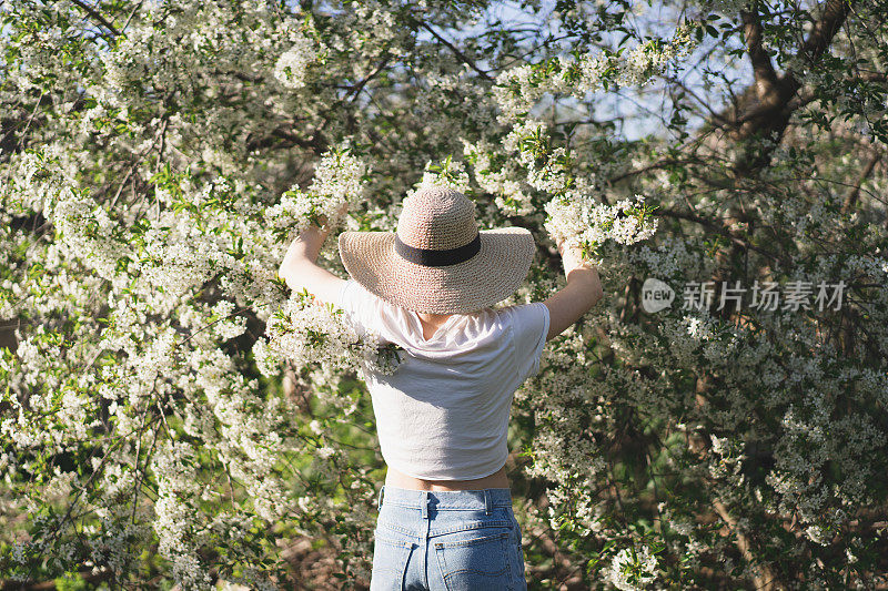 年轻美丽的女人，戴着帽子，在花树中。春季自然公园或园林，树木开花。后视图。