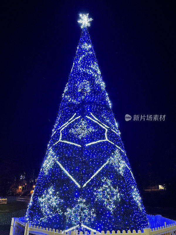 白色LED星状顶饰在大型户外圣诞树上，装饰有蓝色的仙女灯装饰，夜晚的天空