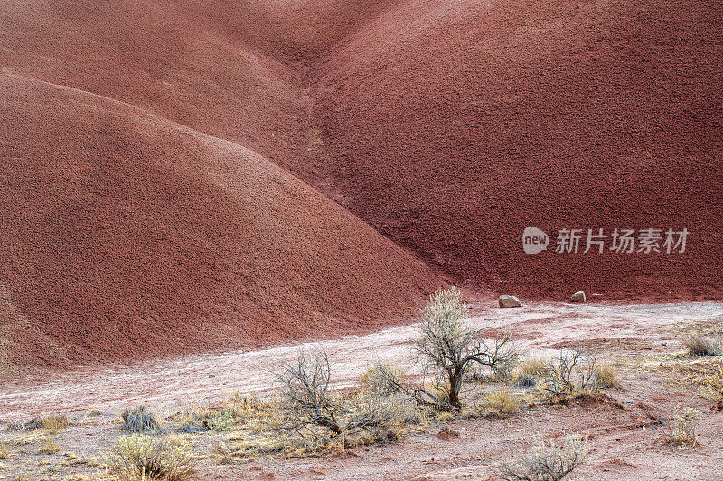 画山公寓的风景