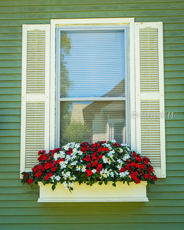 窗台上摆满了红白相间的凤仙花
