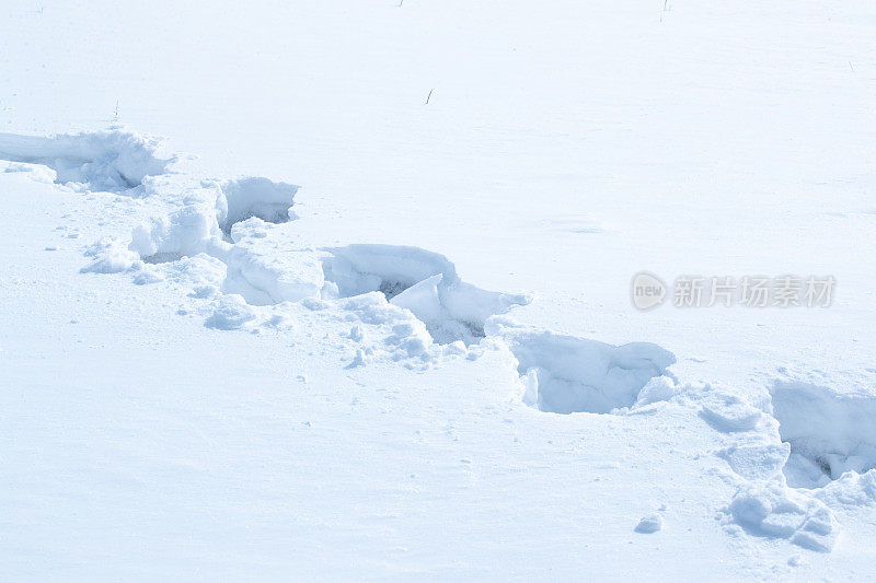 初雪中的脚印