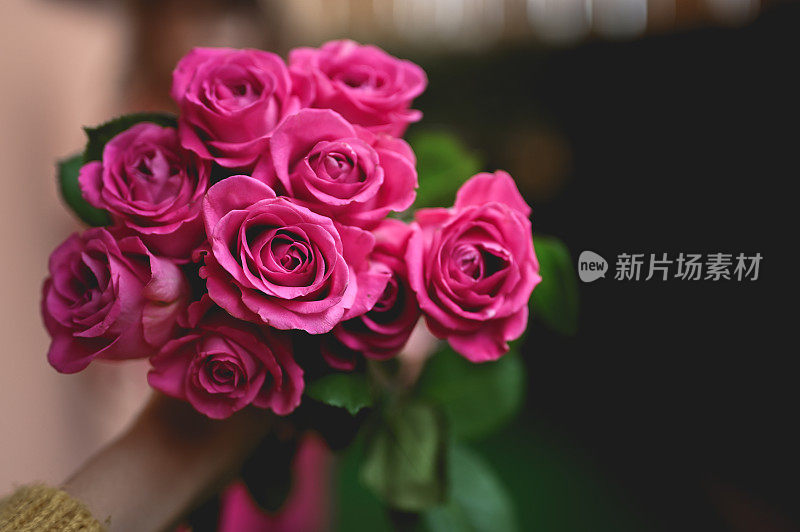 女人手里捧着一束粉红色的玫瑰花。