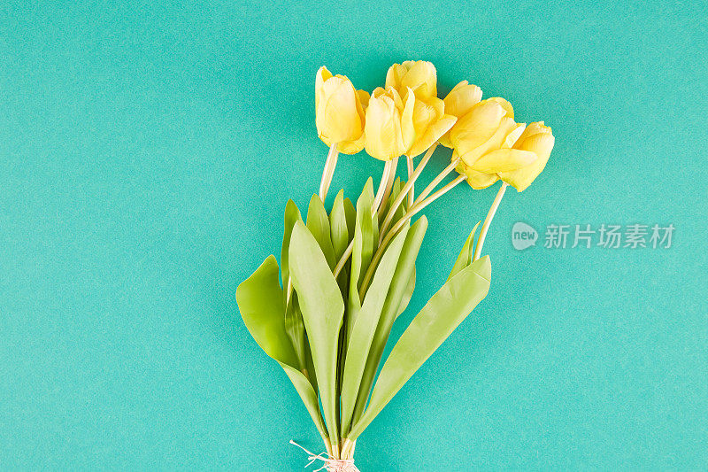 绿色背景下的黄色郁金香