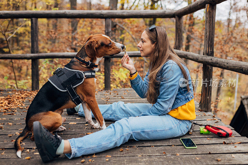 一个女人带着她的猎犬坐在门廊上，给它一顿美餐