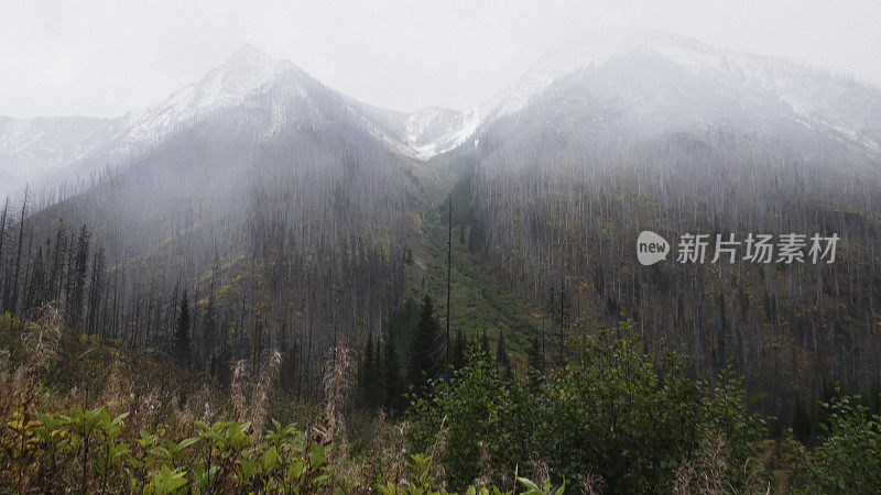 加拿大山地景观