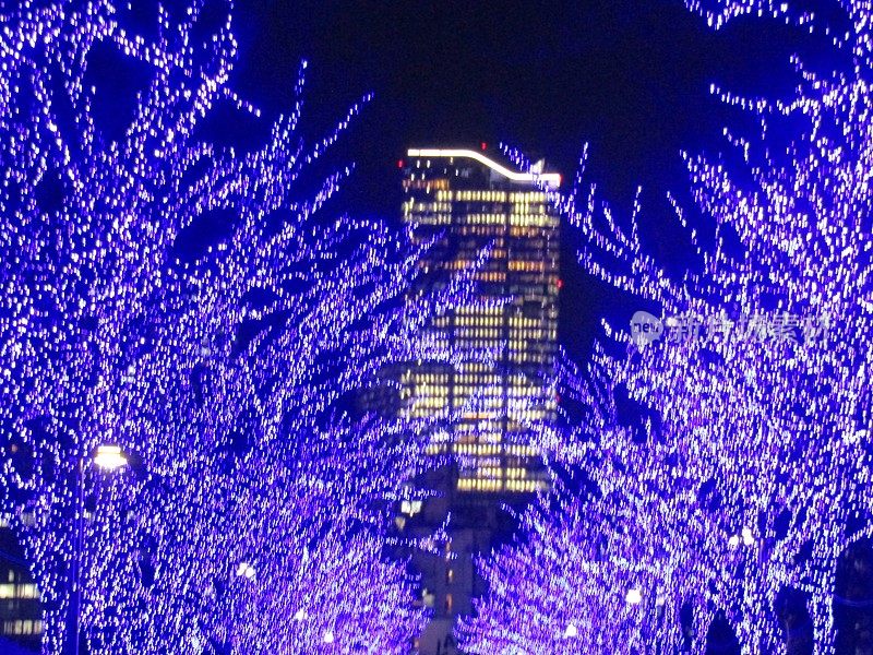 日本。12月。东京涩谷的蓝色圣诞照明。