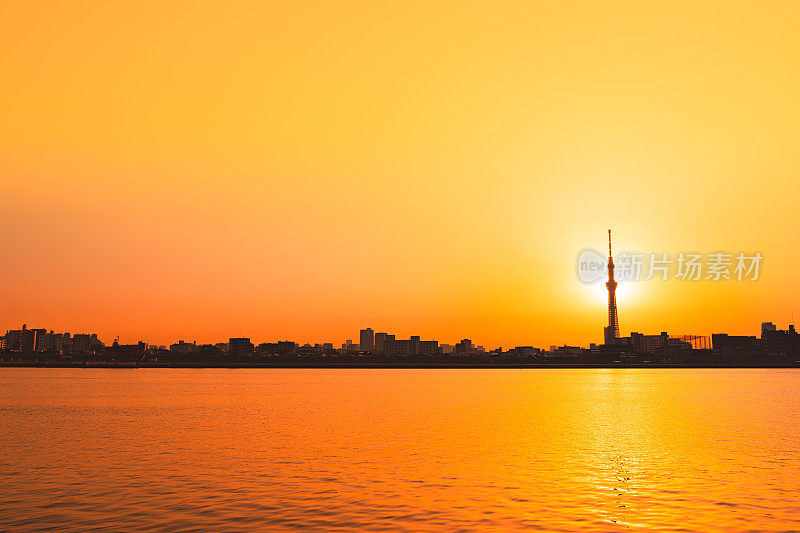 东京天空树的剪影和傍晚的东京市景