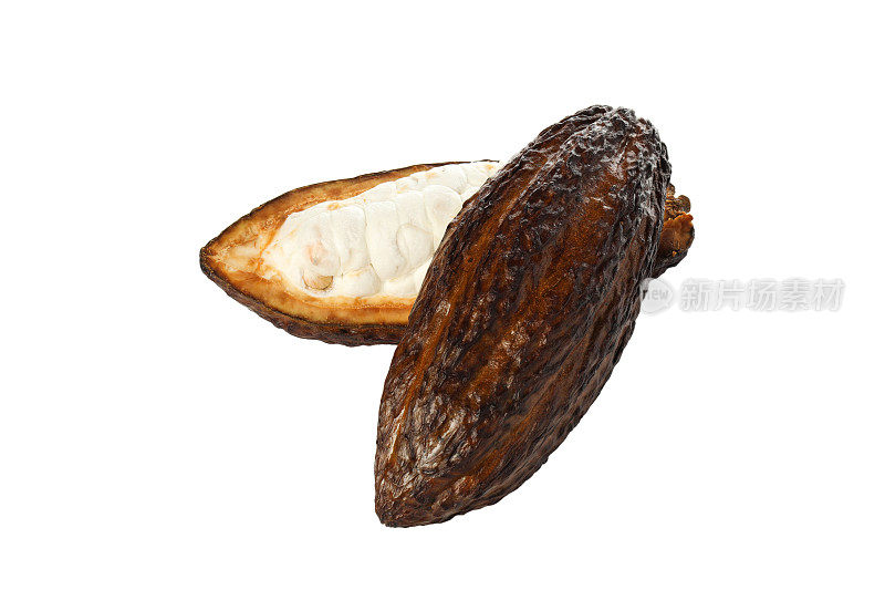 PNG，制作巧克力的原料——可可，分离在白色背景上