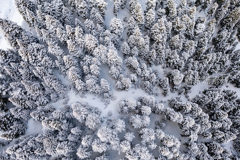 云雾淹没了雪山