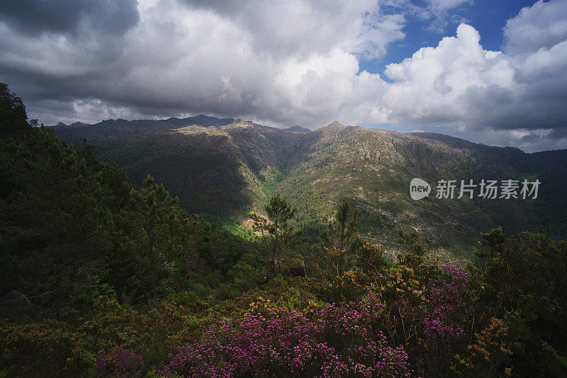 米尼奥景观