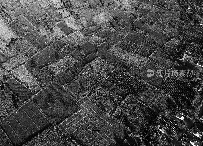 嘉莱省山坡上的菜地的抽象照片