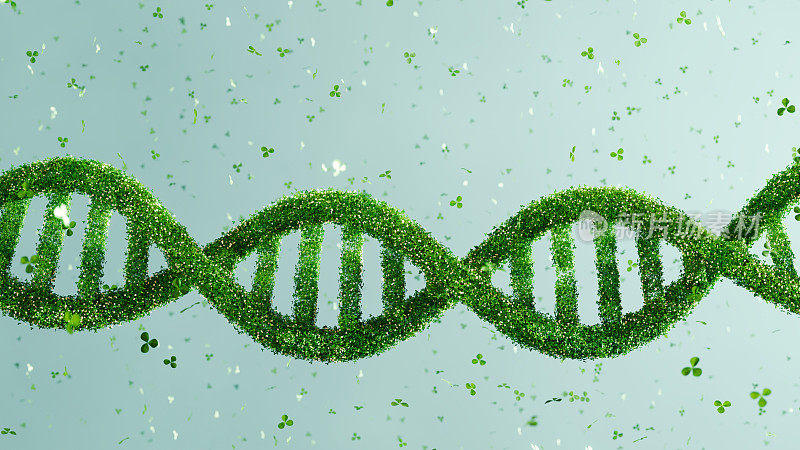 由绿叶、生物工程和科学可持续性组成的DNA结构的3D渲染。环境生物学，绿色科技背景。