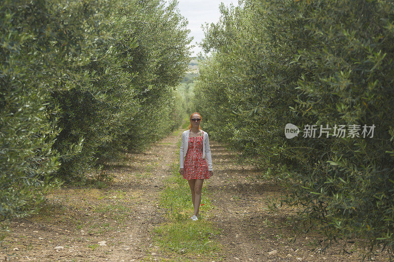 一个女人走在橄榄树果园里