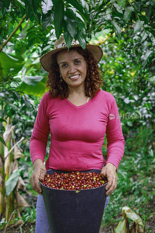 咖啡农妇展示成熟的咖啡豆
