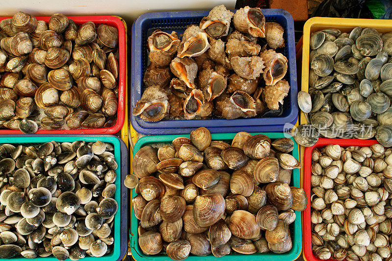 海贝壳市场