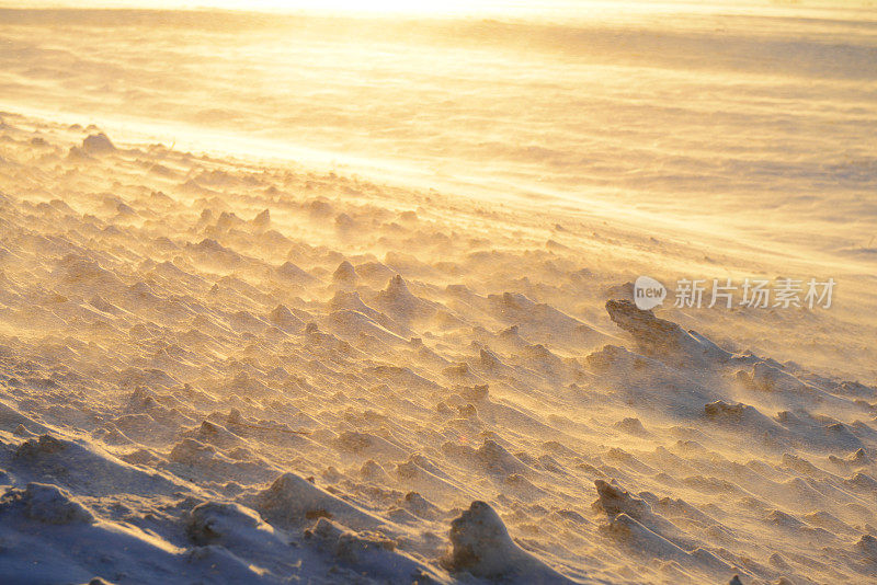 野外的暴风雪