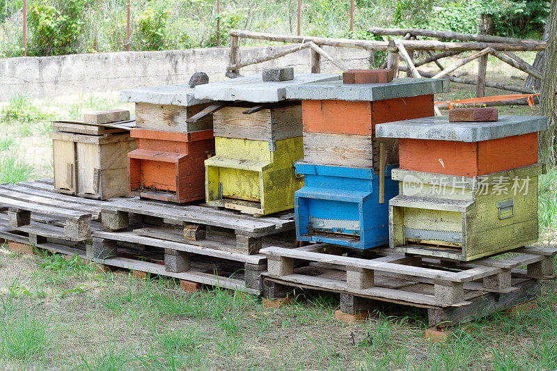 蜂箱用于蜂蜜生产