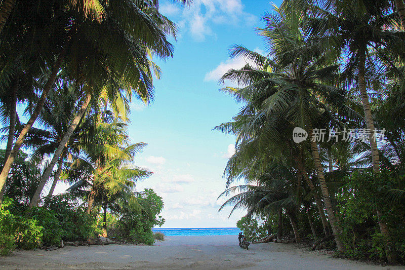 马尔代夫岛有沙路