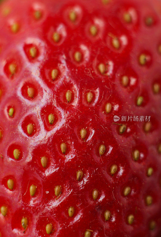 草莓的宏观背景