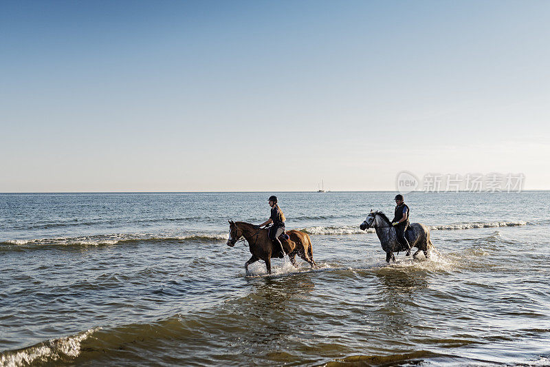 两匹马在海上锻炼