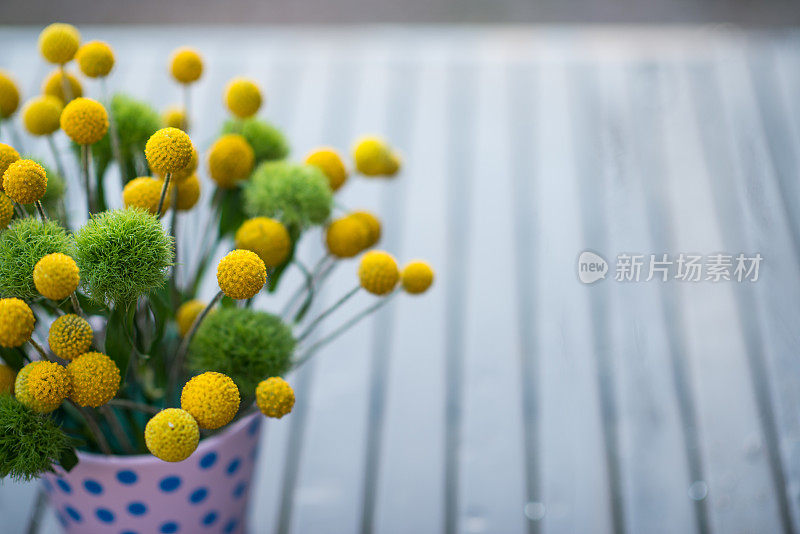 盆景插花，复制空间