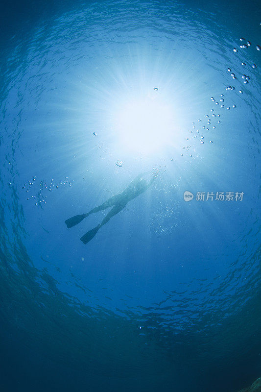 年轻女子浮潜水下潜水冒险绿松石海泻湖