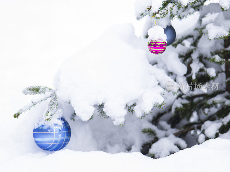 圣诞舞会与雪在森林为卡