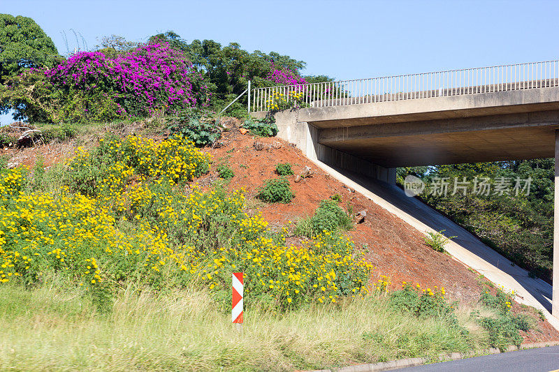 南非夸祖鲁-纳塔尔省N2南海岸