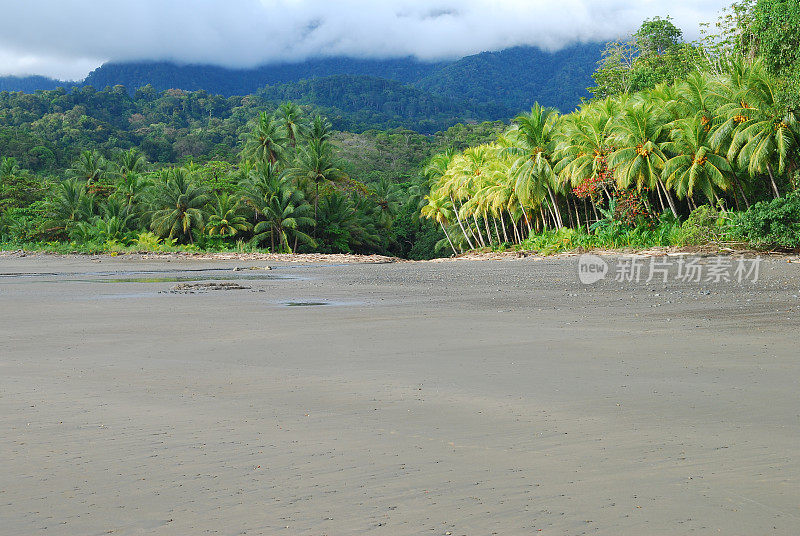 哥斯达黎加空旷的海滩