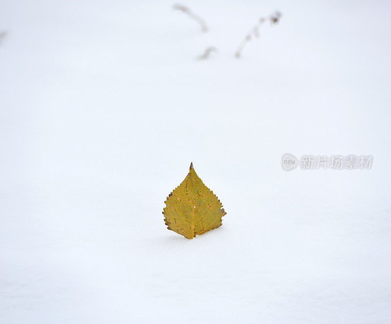 2015年的第一场雪