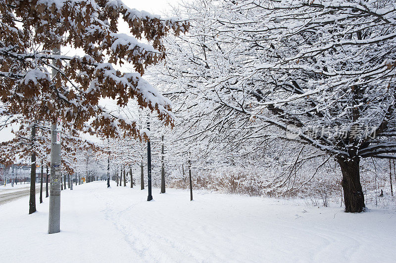 覆盖着雪