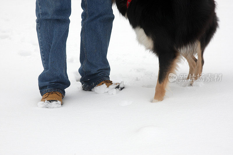 成熟的男人与狗在雪脚近