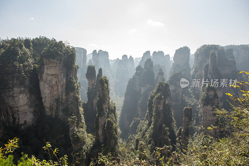 砂岩柱，张家界国家森林公园，中国