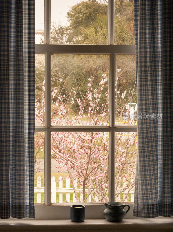 春天的窗口