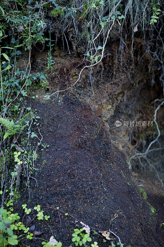 墙上有火山灰